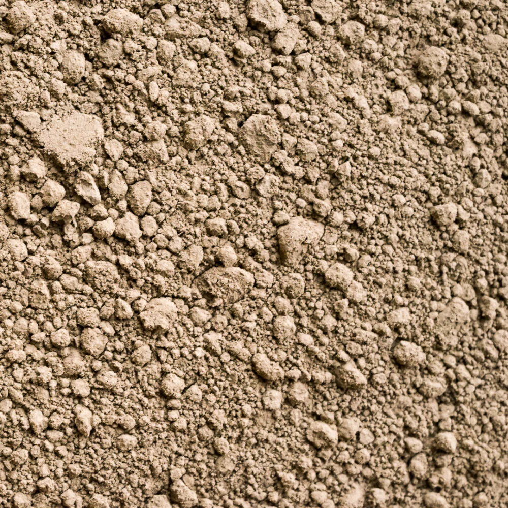 Hojicha latté