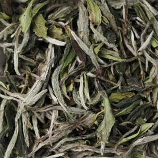 Bai mu Dan