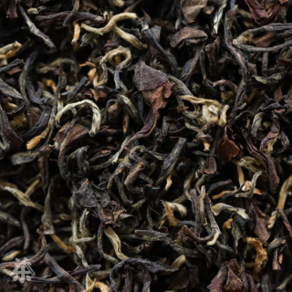 Darjeeling Ruby Dark Wood SF